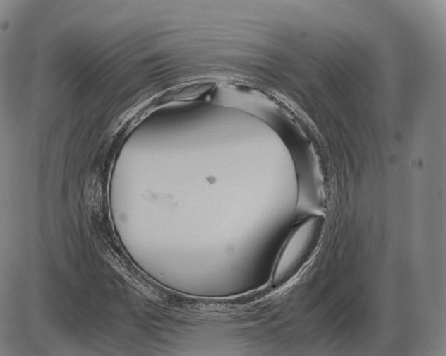 X0000083980969200703161553