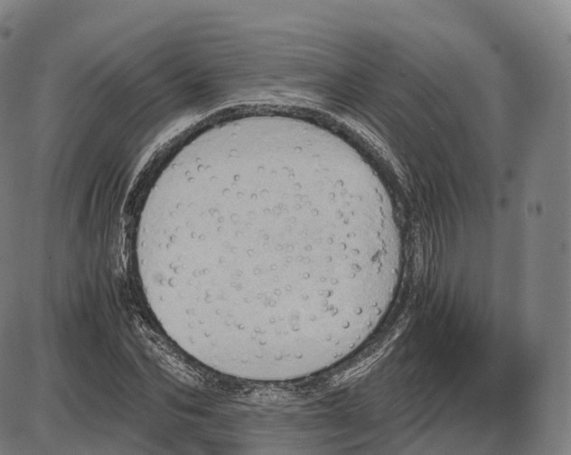 X0000083980974200703161553