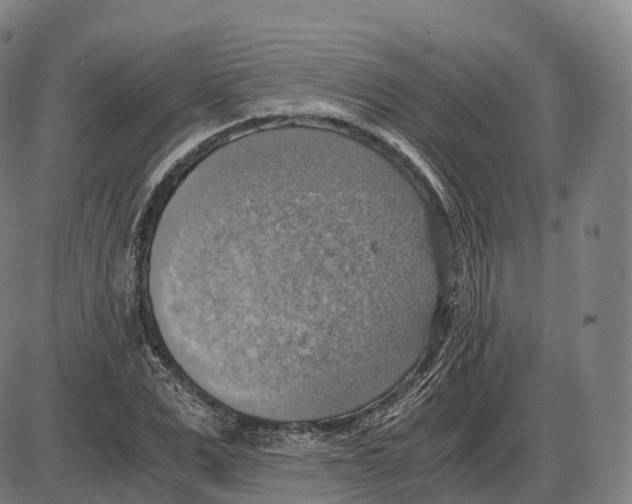 X0000083980975200703161552