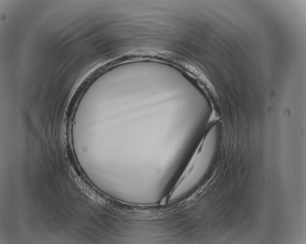 X0000083980976200703161552