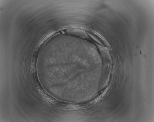 X0000083980977200703161552