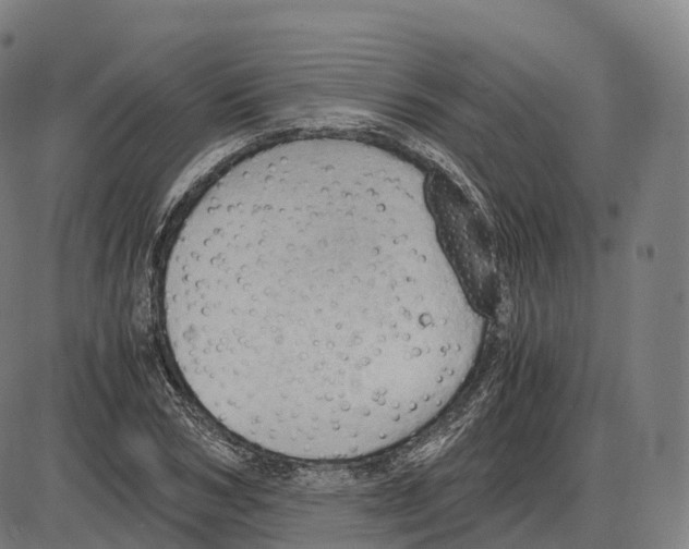 X0000083980978200703161552