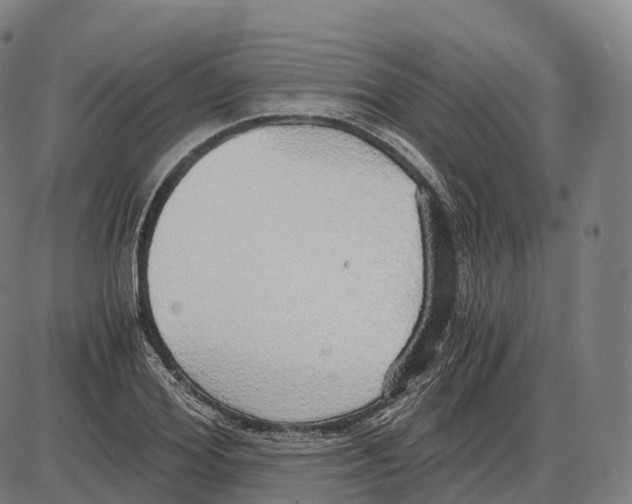 X0000083980980200703161552