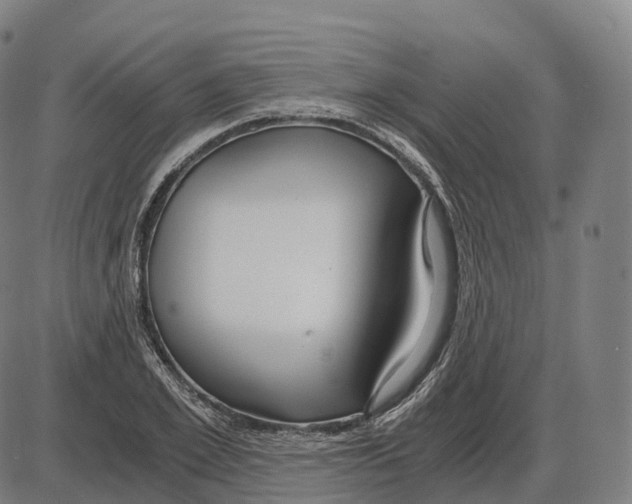 X0000083980981200703161552