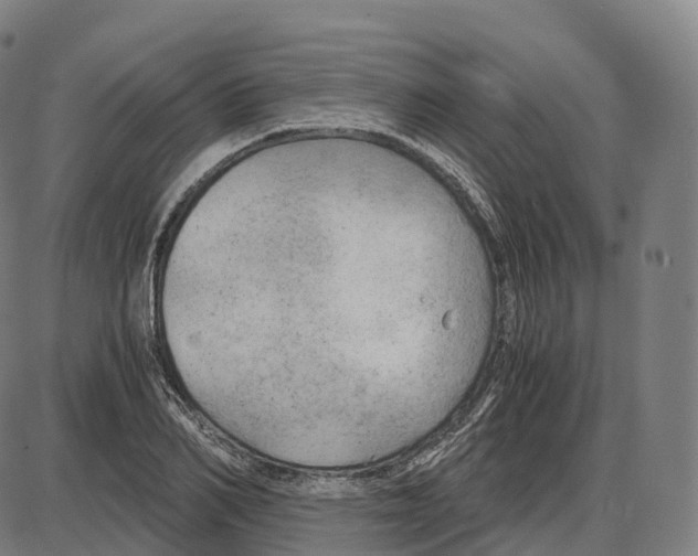 X0000083980982200703161552