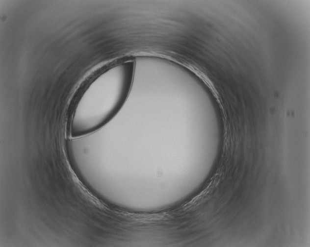 X0000083980984200703161552