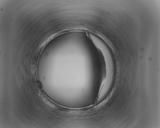 X0000083980985200703161552