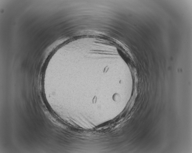 X0000083980987200703161552