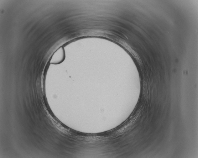 X0000083980988200703161552