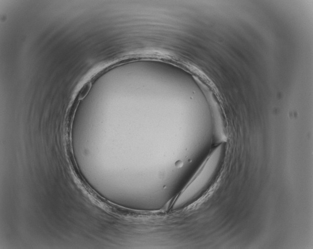 X0000083980989200703161552