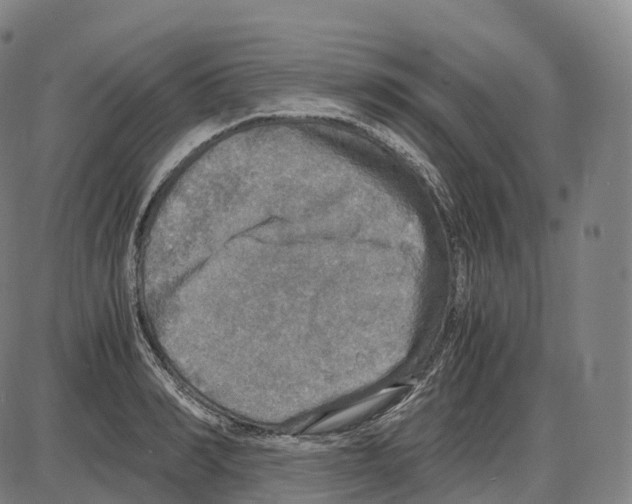 X0000083980990200703161552