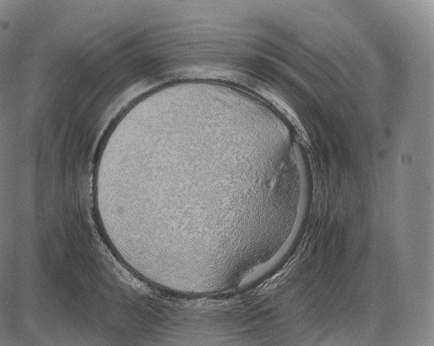 X0000083980992200703161552