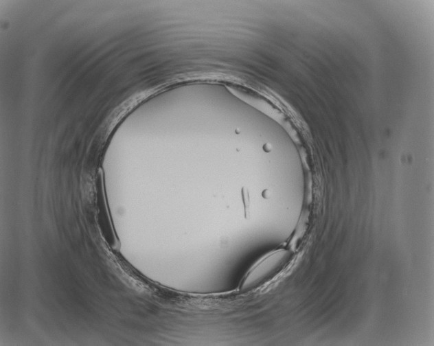 X0000083980993200703161552