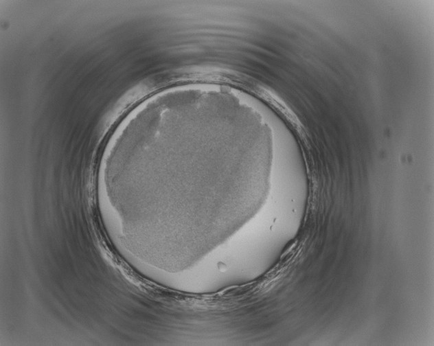 X0000083980994200703161552