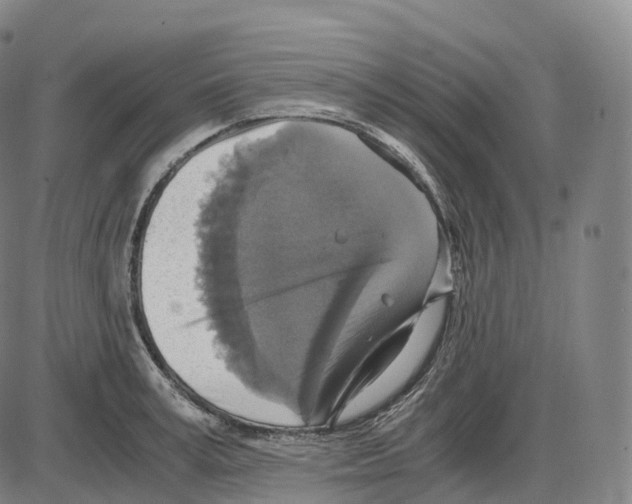 X0000083980995200703161552