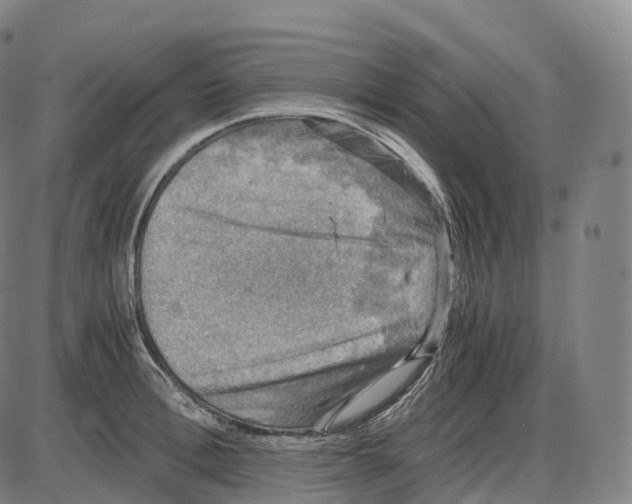 X0000083980996200703161552