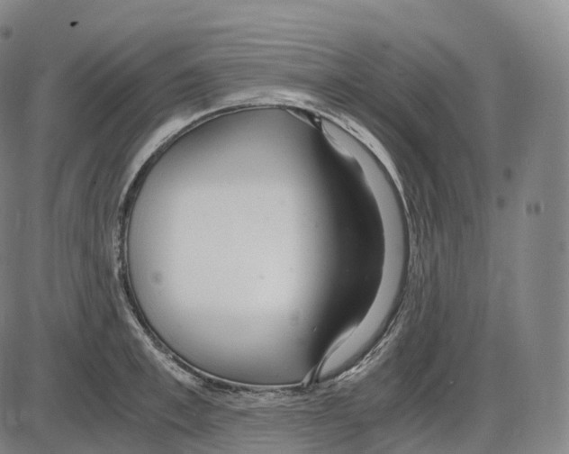 X0000083980997200703161552