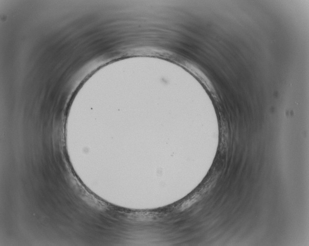 X0000083981000200703161552