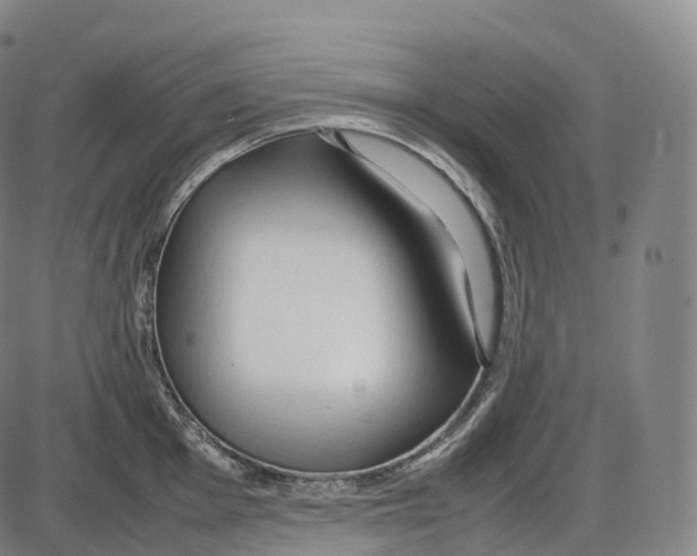 X0000083981001200703161552