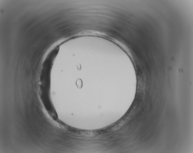 X0000083981003200703161552