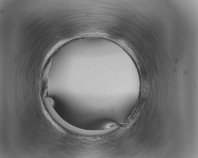 X0000083981005200703161552