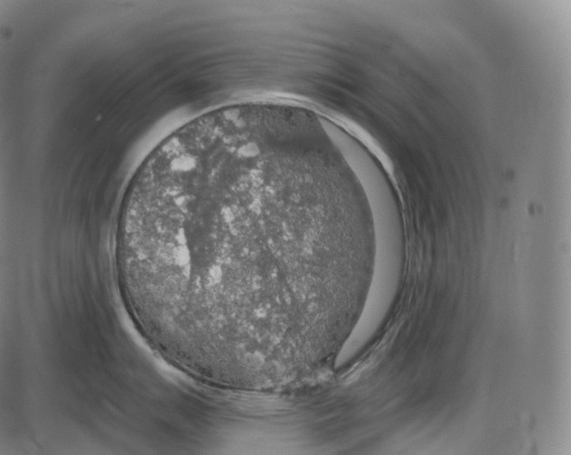 X0000083981007200703161552