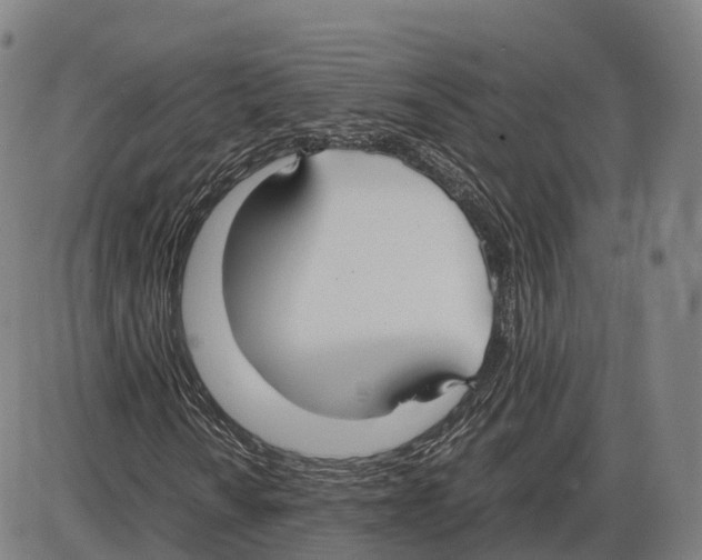 X0000083981010200703161551