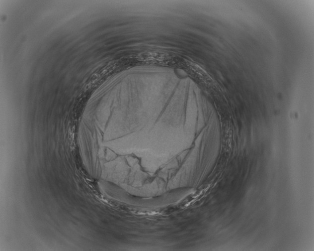 X0000083981013200703161551