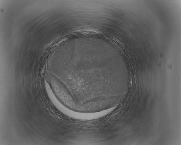 X0000083981014200703161551