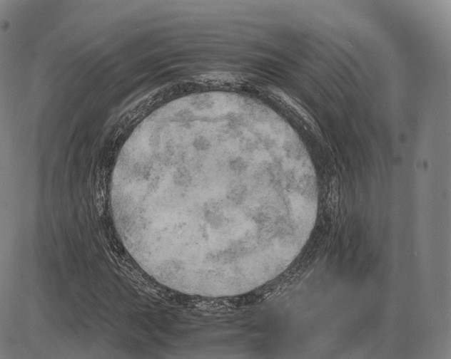 X0000083981015200703161551