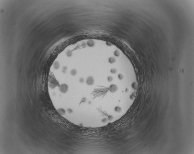 X0000083981016200703161551