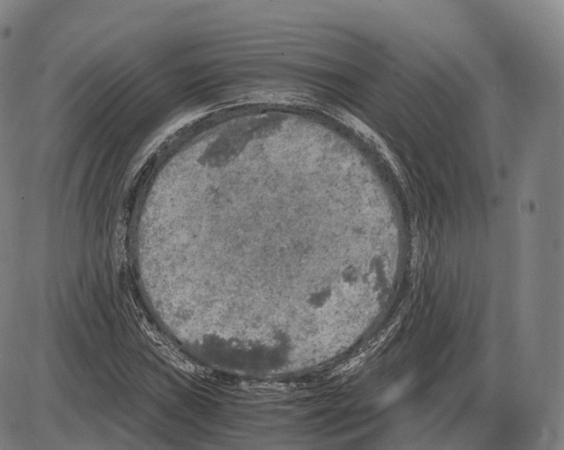 X0000083981019200703161551