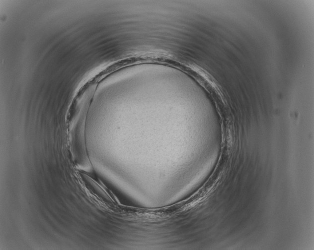 X0000083981022200703161551