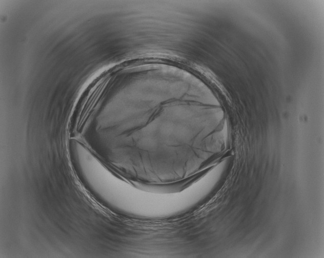 X0000083981024200703161551