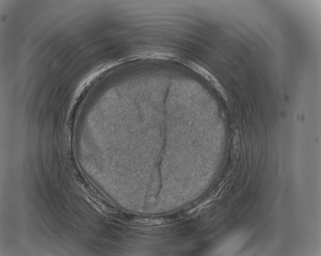 X0000083981027200703161551