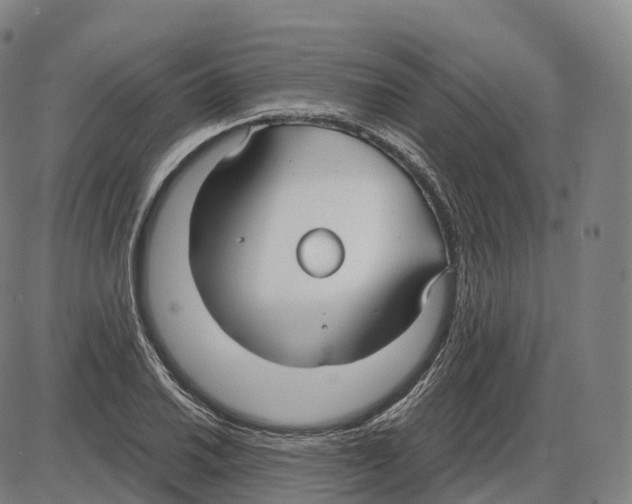 X0000083981030200703161551