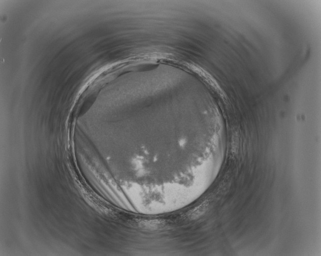 X0000083981031200703161552