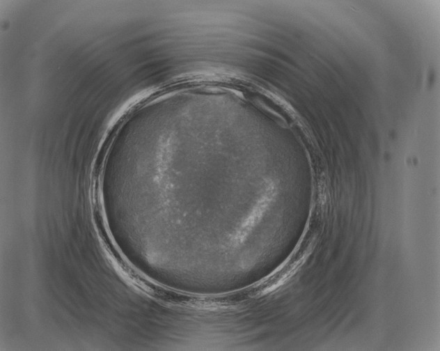 X0000083981034200703161552