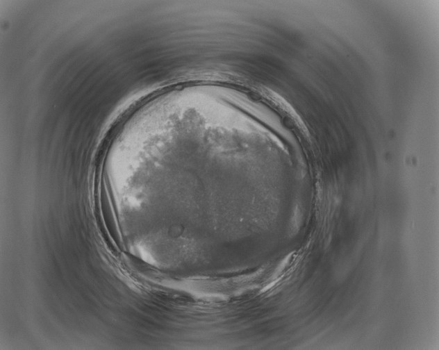 X0000083981035200703161552