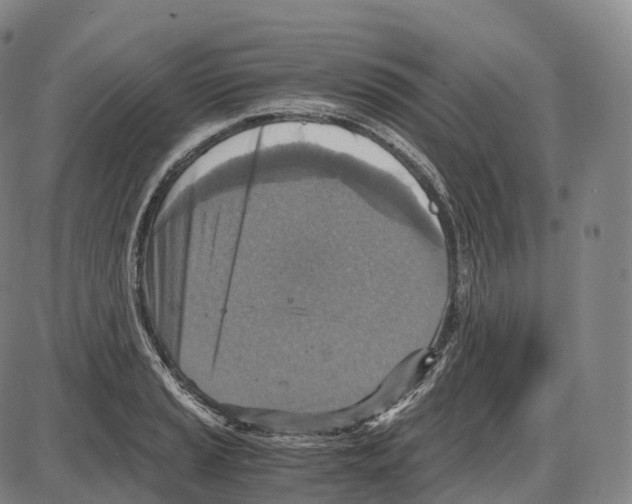 X0000083981037200703161552