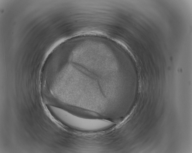 X0000083981038200703161552