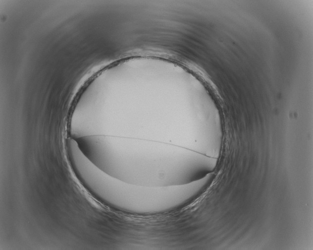 X0000083981040200703161552