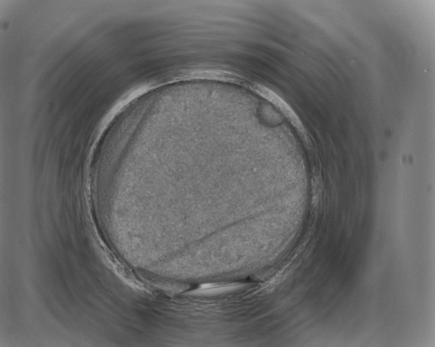 X0000083981043200703161552