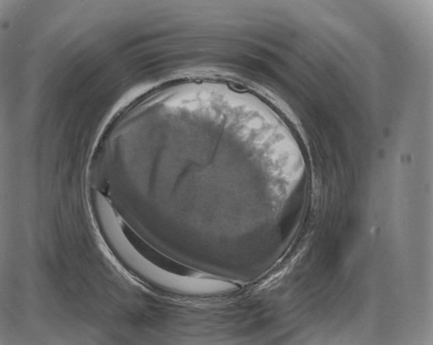 X0000083981045200703161552