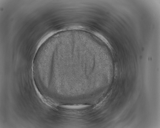 X0000083981047200703161552