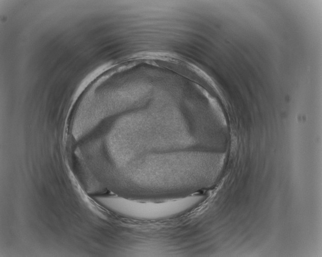 X0000083981050200703161552