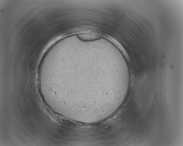 X0000083981051200703161552