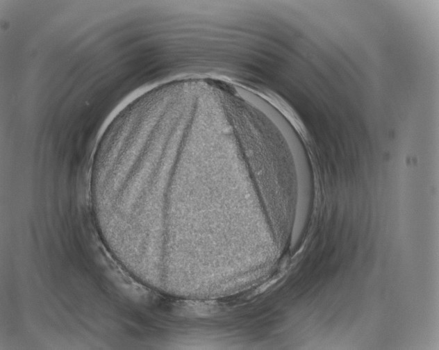 X0000083981052200703161552