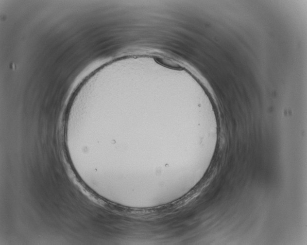 X0000083981053200703161552