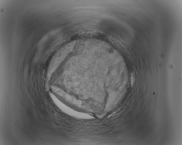 X0000083981059200703161551